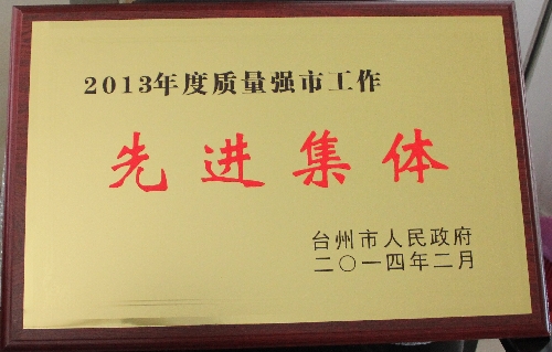 2013年度质量强市工作先进集体